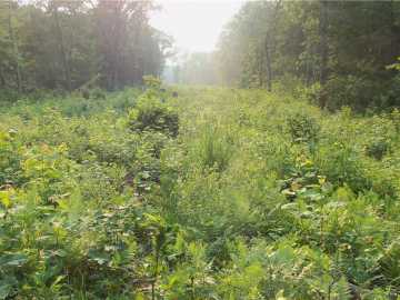 Property Photo 51