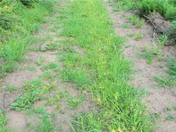 Property Photo 53