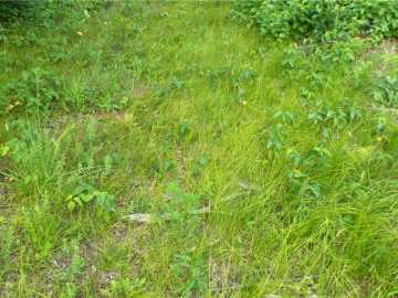 Property Photo 54