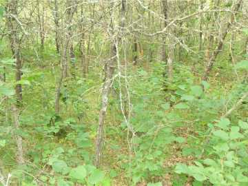 Property Photo 56