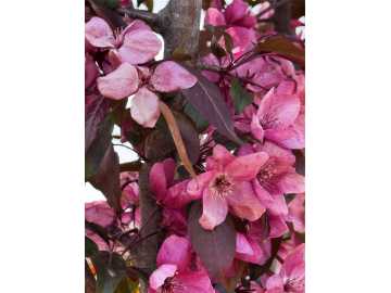 Property Photo 47