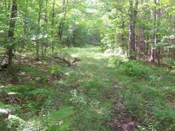 Property Photo 36