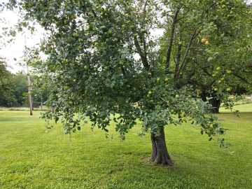 Property Photo 53