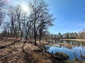 Lot 16, 1.03+/- Acres 295th Street, Holcombe