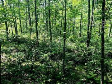 Property Photo 47