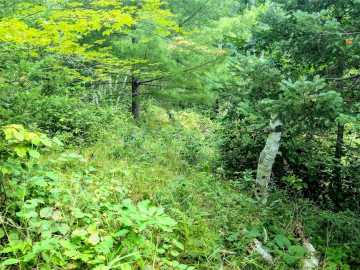 Property Photo 50