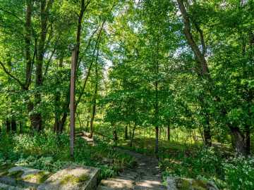 Property Photo 45