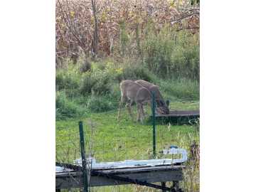 Property Photo 42