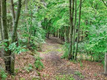 Property Photo 51