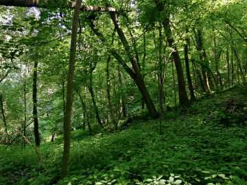 Property Photo 36