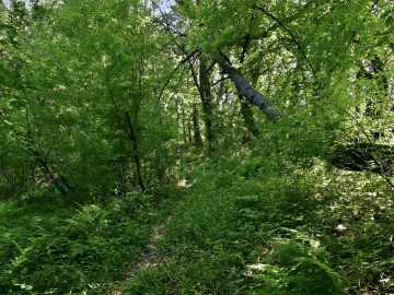 Property Photo 38