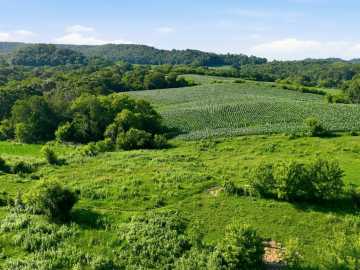 Property Photo 47