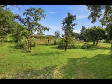 Property Photo 50