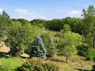 Property Photo 45