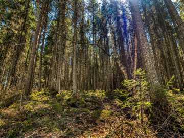 Property Photo 107