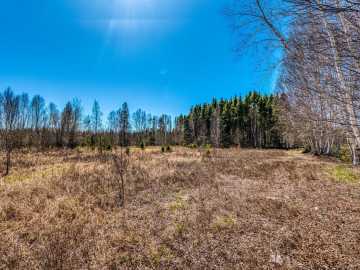 Property Photo 110