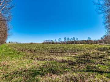 Property Photo 36