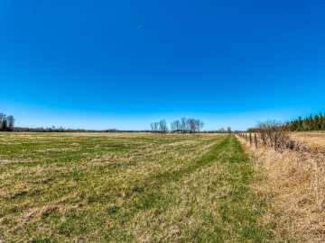 Property Photo 50
