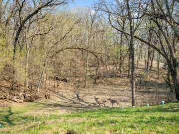 Property Photo 41