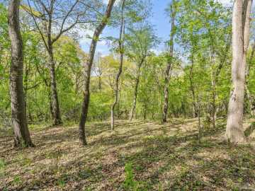 Property Photo 45