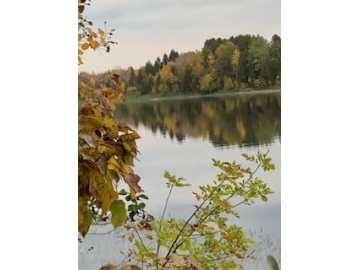 Property Photo 24