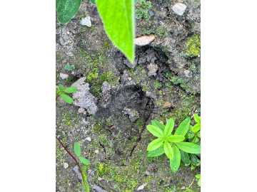 Property Photo 33