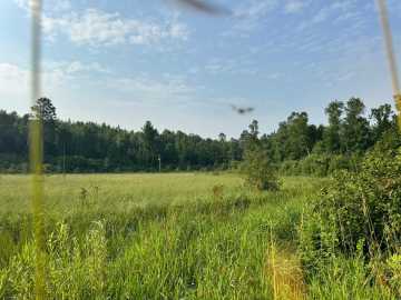 Property Photo 44