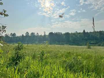 Property Photo 48