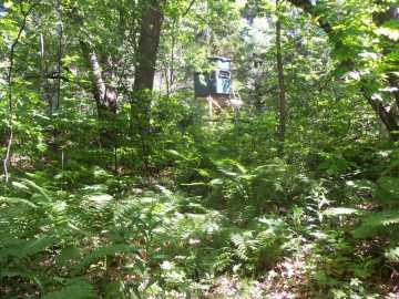 Property Photo 29