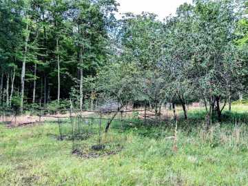 Property Photo 24