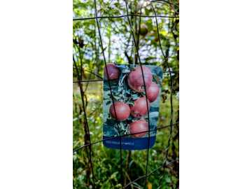 Property Photo 26