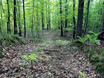 Property Photo 48