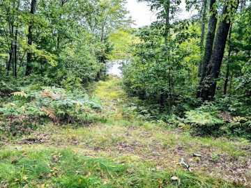 Property Photo 59