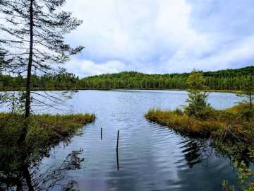 Property Photo 60
