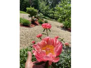 Property Photo 44