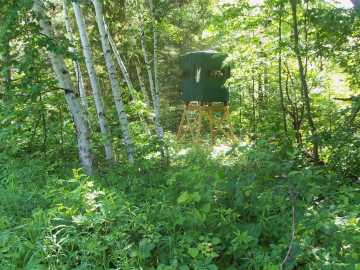 Property Photo 23