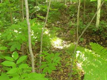 Property Photo 24