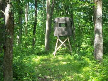 Property Photo 33