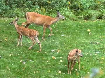 Property Photo 56