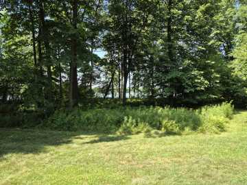 Property Photo 59