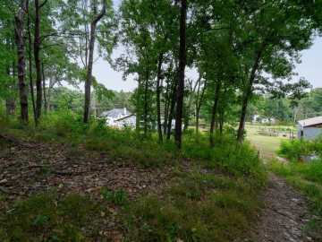 Property Photo 41