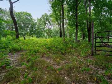 Property Photo 42