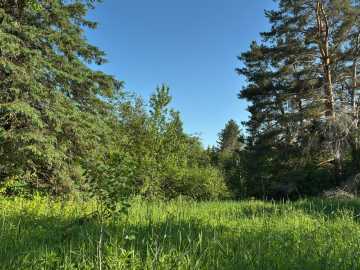 Property Photo 38