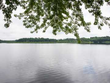 Property Photo 54