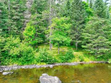 Property Photo 63