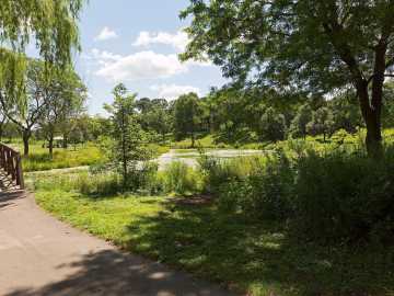 Property Photo 41