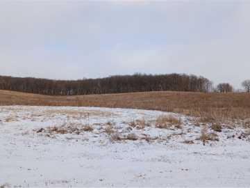 40 Acres 82nd St , Bloomer