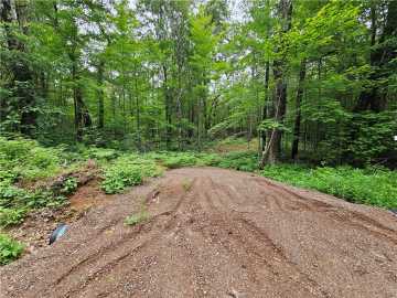 Lot 17, 1.62+/- Acres 295th Avenue, Holcombe