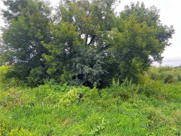 Lots 20 & 21 250th Street, Cadott