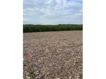 Lot 53 Roma Street, Eau Claire